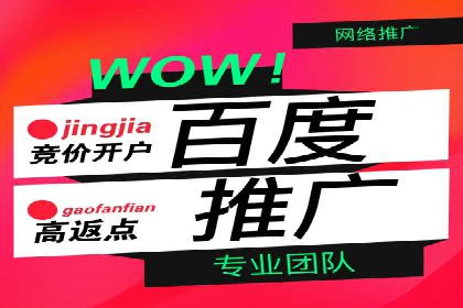 SEM代运营公司案例分析报告