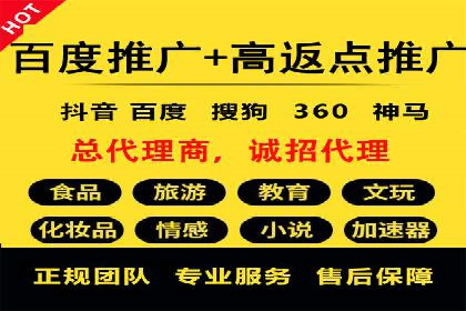 竞价推广中的着陆页策略：成功案例解读